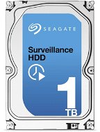 Seagate Surveillance 1000 GB + Rettungs - Festplatte