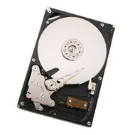 HITACHI Ultrastar A7K1000 750GB - Hard Drive