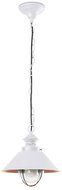 FARO 71106 - Outdoor chandelier NAUTICA-P 1xE27 / 11W / 230V - Chandelier
