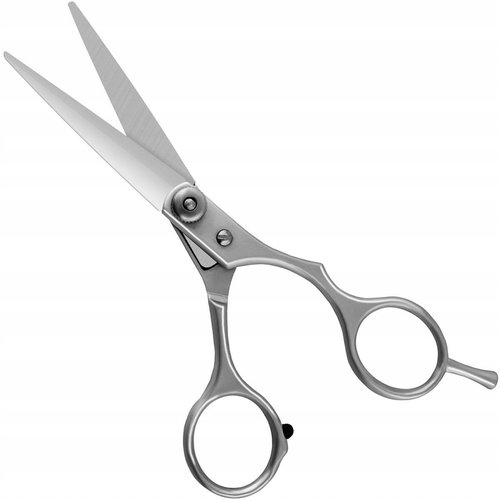 ISO Professional hairdressing scissors - Hairdressing Scissors - Main image