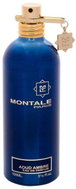 Montale Paris Aoud Ambre EdP 100 ml Uni - Eau de Parfum