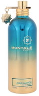 Montale Paris Aoud Lagoon EdP 100 ml Uni - Eau de Parfum