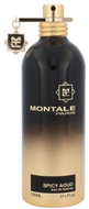 Montale Paris Spicy Aoud EdP 100 ml Uni - Eau de Parfum