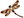 Dragonfly 3052-15