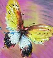 Gaira Butterfly M2250 - Painting by Numbers