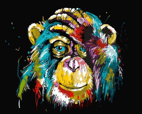 Gaira Chimpanzee M99046 - Painting by Numbers - Main image