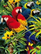 Gaira Papagáje M991142 - Maľovanie podľa čísel
