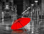 Gaira Červený dáždnik M991463 - Maľovanie podľa čísel