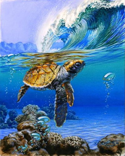Gaira Sea Turtle M991468 - Painting by Numbers - Main image