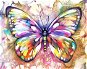 Maľovanie podľa čísel Gaira Motýľ M991854Z - Malování podle čísel