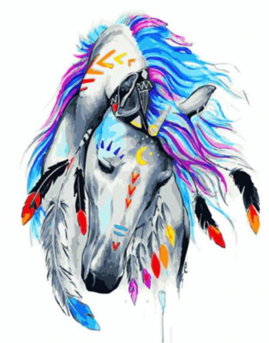 Gaira Horse of the Indians M991970 - Painting by Numbers - Main image