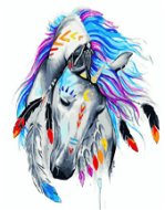 Gaira Kôň Indiánov M991970 - Maľovanie podľa čísel