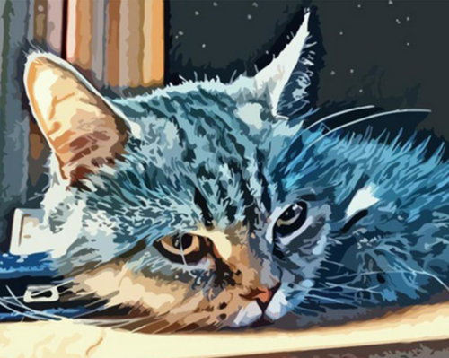 Gaira Cat M992012 - Painting by Numbers - Main image