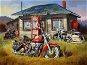 Gaira Harley Davidson M992572 - Painting by Numbers