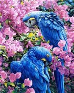 Gaira Papagáje M994147 - Maľovanie podľa čísel
