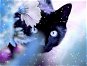 Gaira Mačka M99770 - Maľovanie podľa čísel