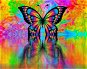 Gaira Motýľ M992170 - Maľovanie podľa čísel