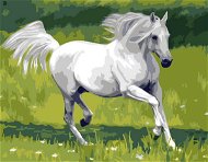 Gaira Bílý kůň M1285 - Painting by Numbers