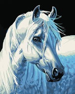 Gaira White Horse M1387 - Painting by Numbers