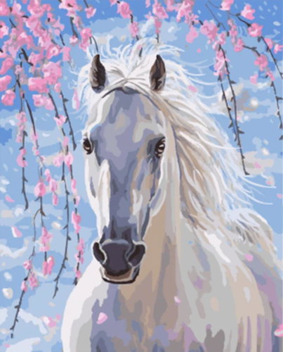 Gaira White Horse M991642 - Painting by Numbers - Main image