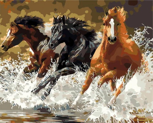 Gaira Horses M188 - Painting by Numbers - Main image