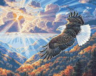 Gaira Eagle M1992339 - Painting by Numbers