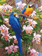 Gaira Papagáje M1337 - Maľovanie podľa čísel
