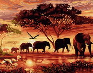 Gaira Elephants M1019 - Painting by Numbers
