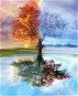 Gaira Strom ročních období M11801 - Painting by Numbers