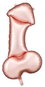 Balloons Partydeco Foil balloon Penis bachelorette party, rosegold, 70 cm - Balonky