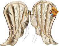 Wiky Carnival Set - Golden Wings 50 × 40 cm - Costume Accessory