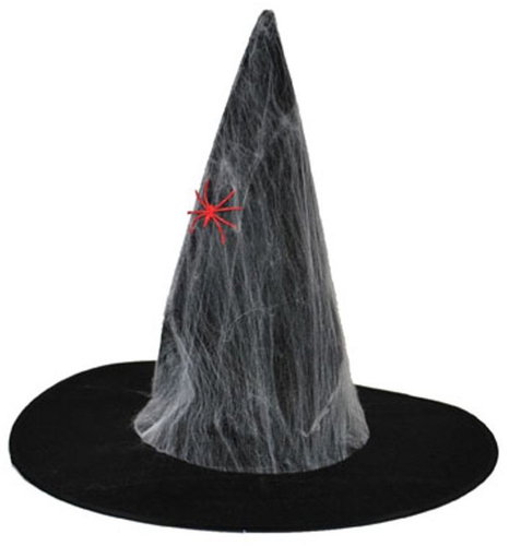 Funny Fashion Witch hat with spider web - Costume Accessory - Main image