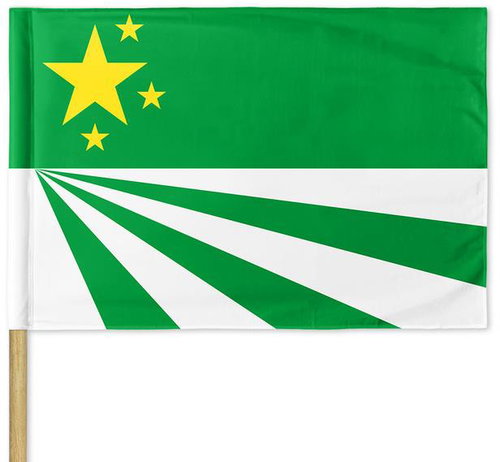 Arma / DayZ Republic Of Chernarus Flag 120 × 80 cm - Flag - Main image