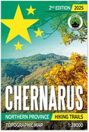 DayZ Chernarus Printed Map 2025 Edition - Poster