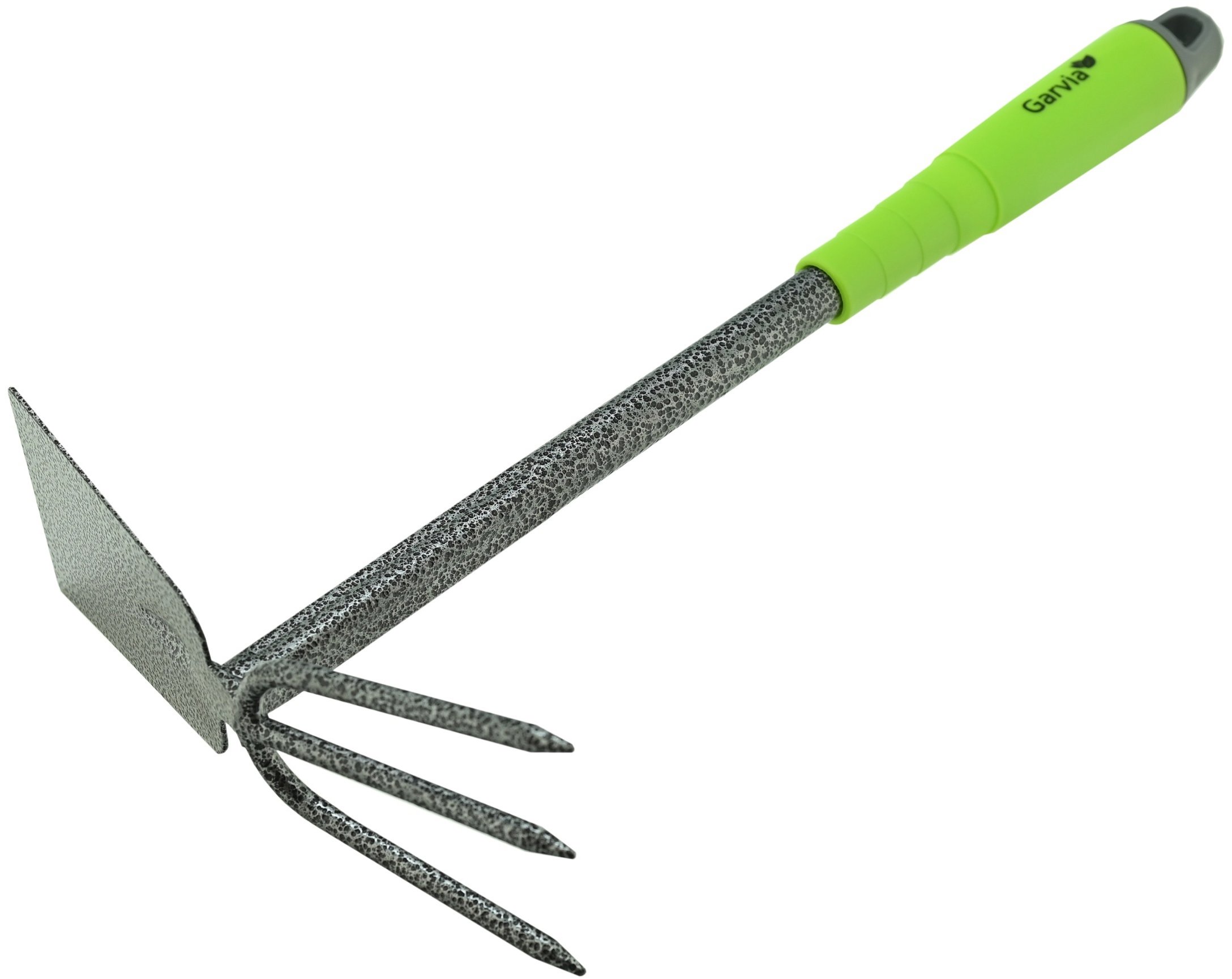 Garvia Seed 34×18 cm