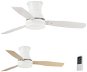 FARO 33384/33386 TONSAY, ceiling fan with light - Fan