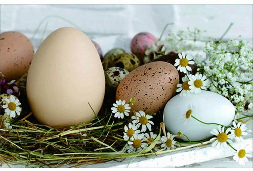 GOBA Plastic Easter Egg Placemats 1000628 - Placemat - Main image