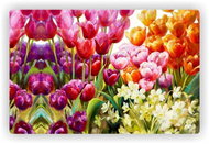 GOBA Plastic placemats coloured tulips - 1000657 - Placemat
