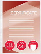 GBC Organise perforated for ring binders A4+/250 glossy - pack of 100 - Laminating Film