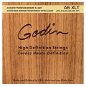 GODIN Strings Acoustic Guitar XLT - Saiten