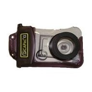 DiCAPac WP-110 (Small) - Waterproof Case