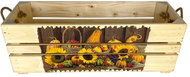 Genex Box OK3-PUMPKIN 54 × 19 × 18 wooden - Storage Box