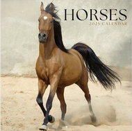 Grupo Erik Horses - wall calender - Wall Calendar