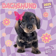 Grupo Erik Dachshund Puppies - dachshund - Wall Calendar