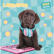 Grupo Erik Labrador Retriever Puppies - Labrador retriever - Wall Calendar