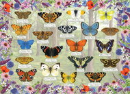 GIBSONS puzzle Beautiful butterflies 1000 pieces - Jigsaw Puzzle
