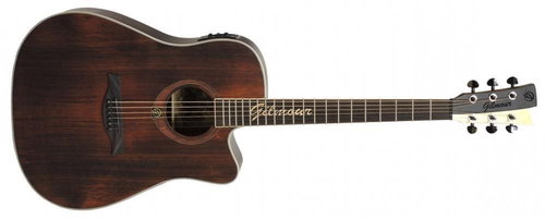 Gilmour Antique EQ - Acoustic-Electric Guitar - Main image