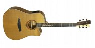 Gilmour Woody EQ Cut - Acoustic-Electric Guitar