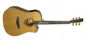 Gilmour Woody EQ Cut - Elektroakustische Gitarre