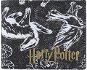 Harry Potter: Houses - otevírací peněženka - Peněženka